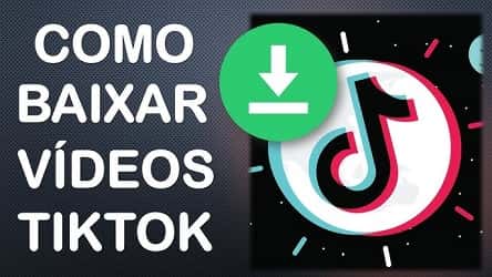 Download vídeo TikTok no Snaptik pelo tablet